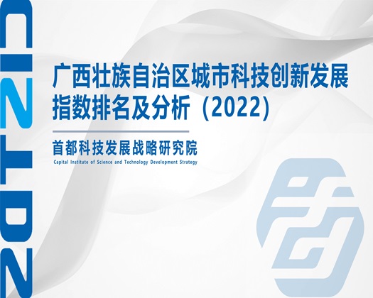 操逼电影网站上【成果发布】广西壮族自治区城市科技创新发展指数排名及分析（2022）